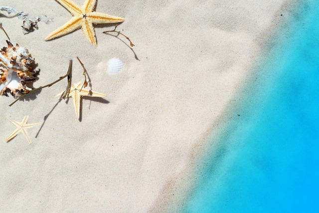 beach 1449008_640